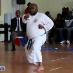 Sensei Roots Shiai 18, Karate Bermuda February 10 2013 (60)