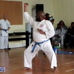 Sensei Roots Shiai 18, Karate Bermuda February 10 2013 (61)