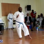 Sensei Roots Shiai 18, Karate Bermuda February 10 2013 (62)