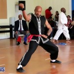 Sensei Roots Shiai 18, Karate Bermuda February 10 2013 (68)