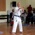 Sensei Roots Shiai 18, Karate Bermuda February 10 2013 (69)