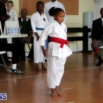 Sensei Roots Shiai 18, Karate Bermuda February 10 2013 (7)