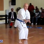 Sensei Roots Shiai 18, Karate Bermuda February 10 2013 (70)