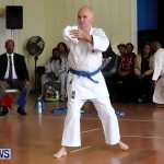 Sensei Roots Shiai 18, Karate Bermuda February 10 2013 (72)