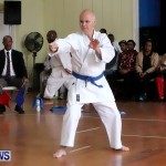 Sensei Roots Shiai 18, Karate Bermuda February 10 2013 (73)