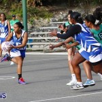 Womens Netball, Bermuda February 23 2013 (10)