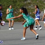 Womens Netball, Bermuda February 23 2013 (11)