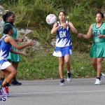 Womens Netball, Bermuda February 23 2013 (12)