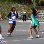 Womens Netball, Bermuda February 23 2013 (14)