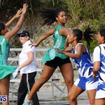 Womens Netball, Bermuda February 23 2013 (22)