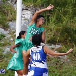 Womens Netball, Bermuda February 23 2013 (23)