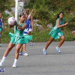 Womens Netball, Bermuda February 23 2013 (26)