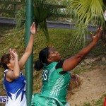 Womens Netball, Bermuda February 23 2013 (35)