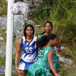Womens Netball, Bermuda February 23 2013 (36)
