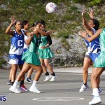 Womens Netball, Bermuda February 23 2013 (4)