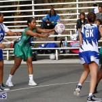 Womens Netball, Bermuda February 23 2013 (40)