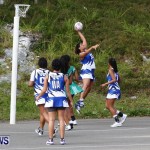 Womens Netball, Bermuda February 23 2013 (46)