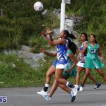 Womens Netball, Bermuda February 23 2013 (47)