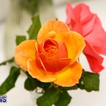 75th Agricultural Exhibition Bermuda Roses, April 18 2013-41