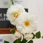 75th Agricultural Exhibition Bermuda Roses, April 18 2013-56