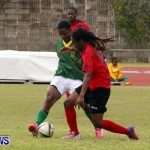 Devonshire Recreation Club vs Somerset Trojans FA Cup Final Bermuda April 7 2013 (11)