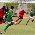 Devonshire Recreation Club vs Somerset Trojans FA Cup Final Bermuda April 7 2013 (15)