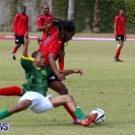 Devonshire Recreation Club vs Somerset Trojans FA Cup Final Bermuda April 7 2013 (25)