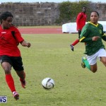 Devonshire Recreation Club vs Somerset Trojans FA Cup Final Bermuda April 7 2013 (27)