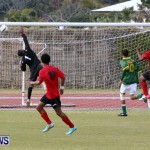 Devonshire Recreation Club vs Somerset Trojans FA Cup Final Bermuda April 7 2013 (36)