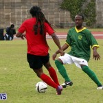 Devonshire Recreation Club vs Somerset Trojans FA Cup Final Bermuda April 7 2013 (4)