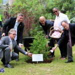 Earth Day Tree Planting, Bermuda April 22 2013 (8)