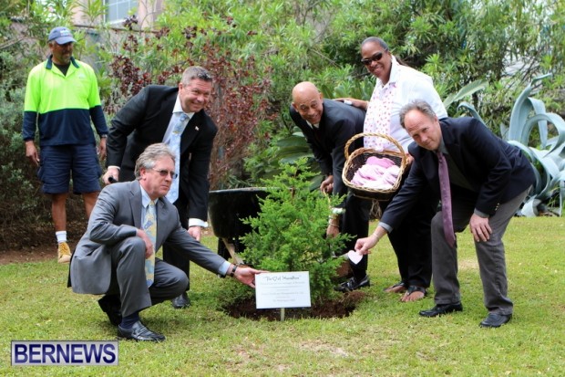 Earth Day Tree Planting, Bermuda April 22 2013 (8)