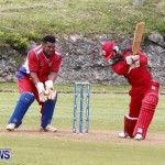 Pepsi ICC World Cricket League [WCL] Division Bermuda vs Oman, April 29 2013 (11)