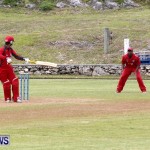 Pepsi ICC World Cricket League [WCL] Division Bermuda vs Oman, April 29 2013 (9)