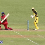 Pepsi ICC World Cricket League [WCL] Division Bermuda vs Uganda, April 28 2013 (11)
