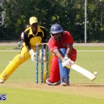 Pepsi ICC World Cricket League [WCL] Division Bermuda vs Uganda, April 28 2013 (23)