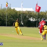 Pepsi ICC World Cricket League [WCL] Division Bermuda vs Uganda, April 28 2013 (24)