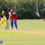 Pepsi ICC World Cricket League [WCL] Division Bermuda vs Uganda, April 28 2013 (31)