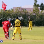 Pepsi ICC World Cricket League [WCL] Division Bermuda vs Uganda, April 28 2013 (67)