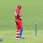 Pepsi ICC World Cricket League [WCL] Division Bermuda vs Uganda, April 28 2013 (7)