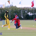 Pepsi ICC World Cricket League [WCL] Division Bermuda vs Uganda, April 28 2013 (73)