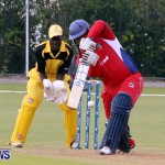 Pepsi ICC World Cricket League [WCL] Division Bermuda vs Uganda, April 28 2013 (93)