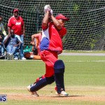 Bermuda vs USA ICC Cricket, May 3 2013-18