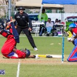 Bermuda vs USA ICC Cricket, May 3 2013-42