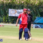 Bermuda vs USA ICC Cricket, May 3 2013-5