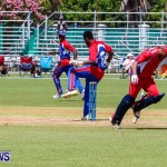 Bermuda vs USA ICC Cricket, May 3 2013-9