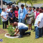 Nahge O'Brien Memorial Tree Planting, CedarBridge Bermuda May 3 2013-16