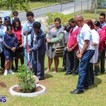 Nahge O'Brien Memorial Tree Planting, CedarBridge Bermuda May 3 2013-18