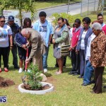 Nahge O'Brien Memorial Tree Planting, CedarBridge Bermuda May 3 2013-21