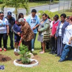 Nahge O'Brien Memorial Tree Planting, CedarBridge Bermuda May 3 2013-22